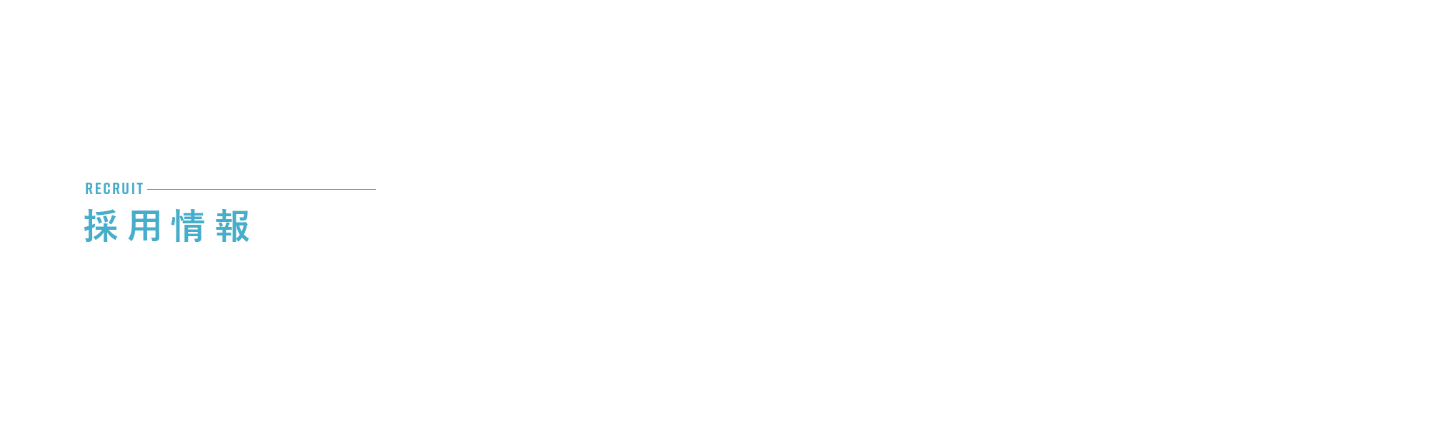 採用情報